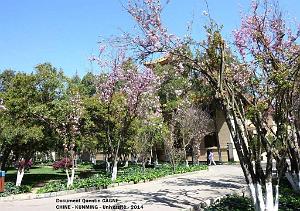 088-Quentin - Kunming 